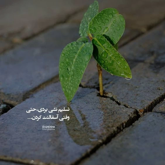 عکس خفن عکس انگیزشی بدون متن دخترانه