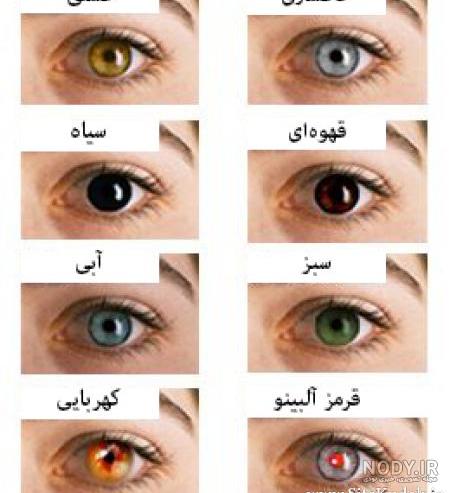 16 ایده برای عکاسی از نوزاد 3 ماهه 16 ایده برای عکاسی از نوزاد 3 ماهه