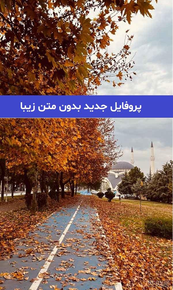 90 عکس گل و منظره زیبا برای پروفایل 2024؛ بدون متن/ بینظیر/ واقعا خوشگل  جذاب - گلی خانوم