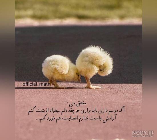 آلبوم عکس نوشته های خنده دار 98 جدید + متن طنز 2019 - تــــــــوپ  تـــــــــاپ