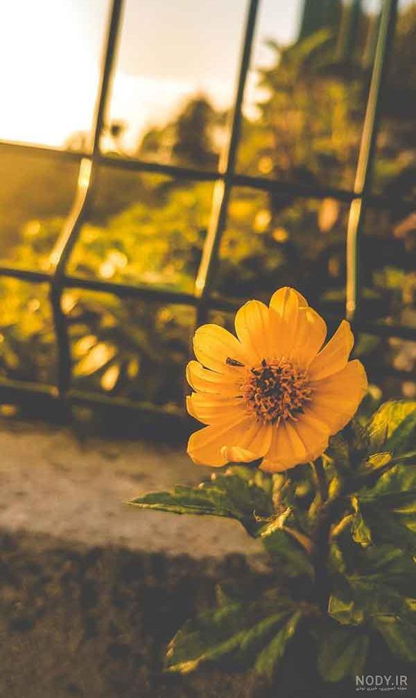 دانلود عکس پروفایل اینستاگرام مردانه