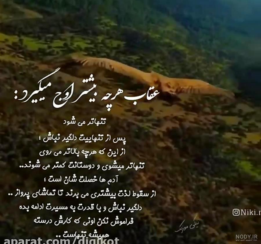 عقاب - انواع نژادها بهمراه تصاویر این پرنده عقاب - انواع نژادها بهمراه تصاویر این پرنده