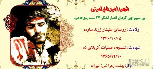 عکس امیر امینی