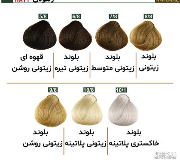 عکس رنگ زیتونی عکس رنگ زیتونی