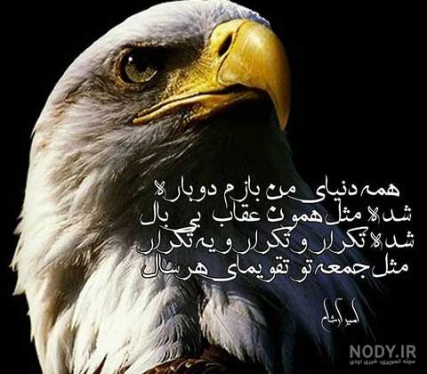 عکس نوشته با عقاب - عکس نودی عکس نوشته با عقاب - عکس نودی