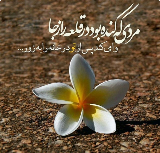 عکس پروفایل یا زهرا - عکس نودی