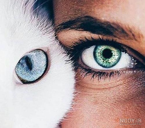 عکس پسر بچه چشم رنگی عکس پسر بچه چشم رنگی