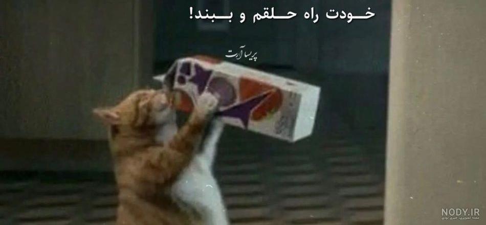 آلبوم عکس نوشته های خنده دار 98 جدید + متن طنز 2019 - تــــــــوپ  تـــــــــاپ