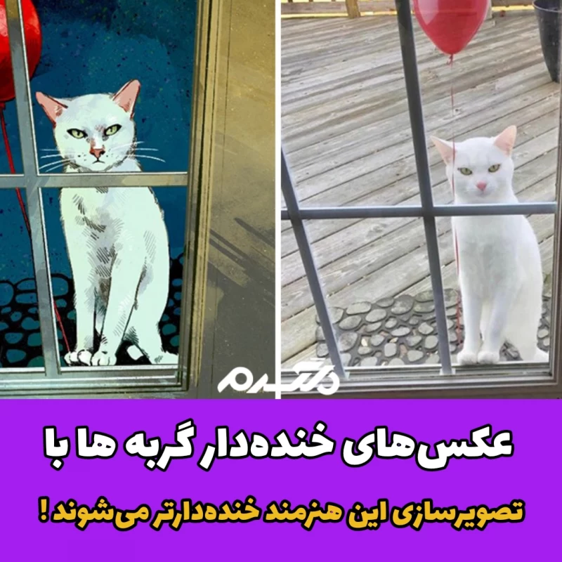 تصاویری خنده دار از اجبار گربه ها برای بودن در عکس های سل - عکس ویسگون
