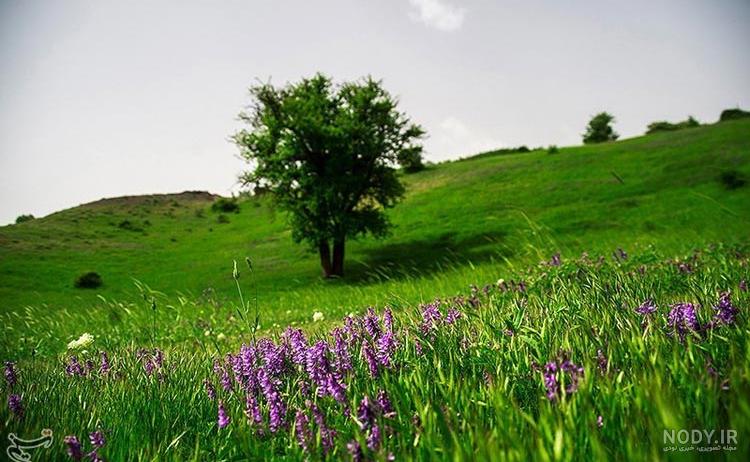 جاهای دیدنی گیلان در بهار | عکس ها و تصاویری از طبیعت زیبای بهاری در استان  گیلان