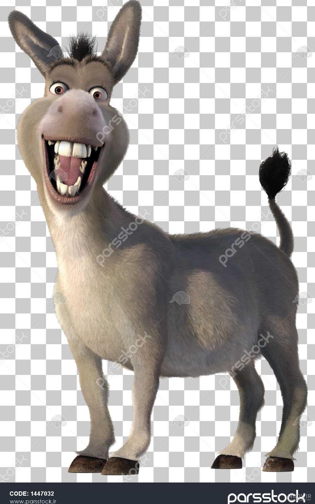 عکس شرک و خرش