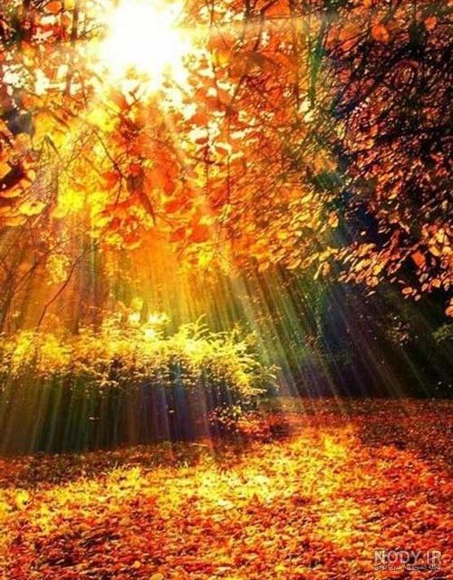 عکس پروفایل طبیعت نوشته