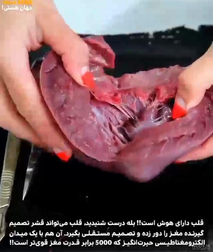 قلب انسان و نکات جالبی که باید در مورد آن بدانید - درمانکده قلب انسان و نکات جالبی که باید در مورد آن بدانید - درمانکده