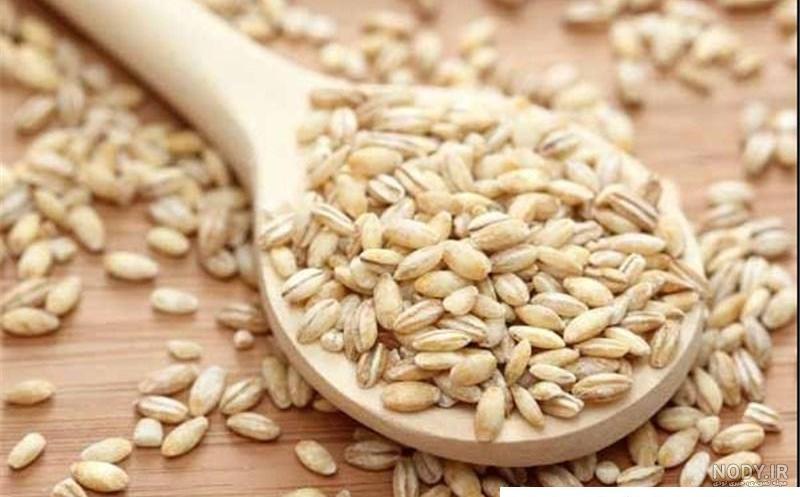 قیمت و خرید جو دوسر پرک کیلویی | ریز و درشت | 1 تا 25 کیلو | مدیاف قیمت و خرید جو دوسر پرک کیلویی | ریز و درشت | 1 تا 25 کیلو | مدیاف