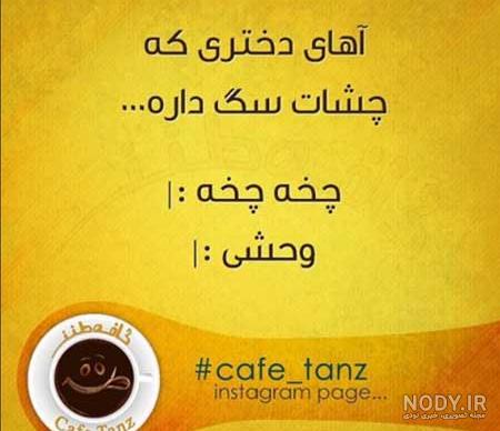 مجموعه جوک تصویری بسیار خنده دار و جالب