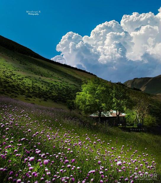 معرفی 60 جاذبه از جاهای دیدنی گیلان در سال 1403 + عکس و آدرس - سفرزون
