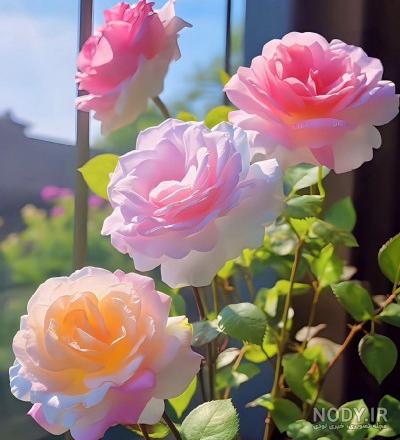 والپیپر گل های خاص و زیبا برای گوشی والپیپر گل های خاص و زیبا برای گوشی