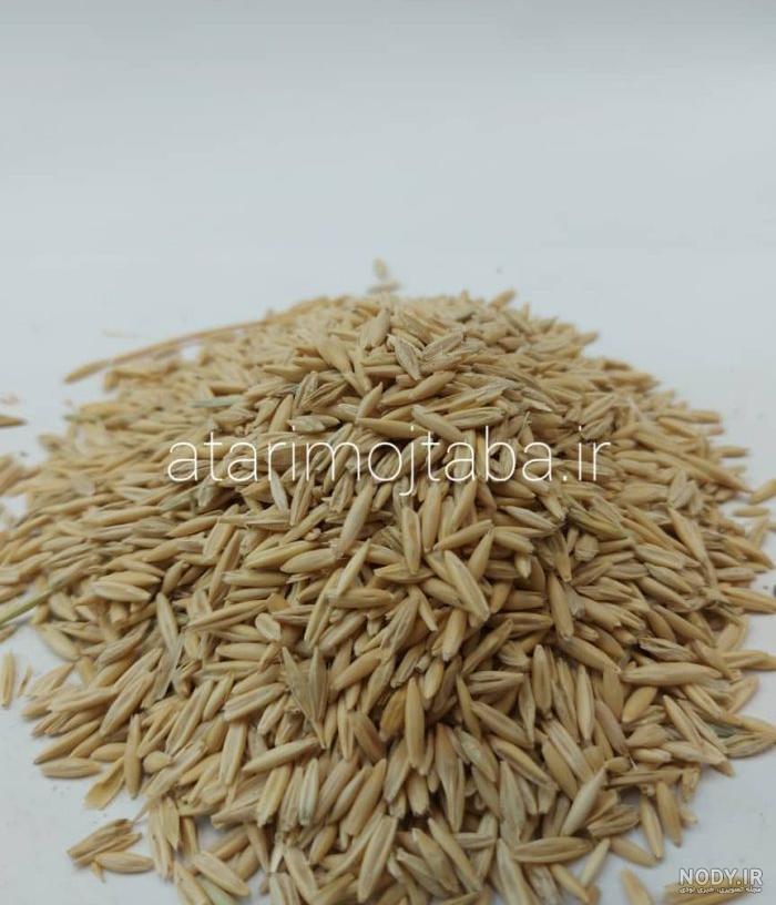 پرک جو دوسر صبحانه فوری سالیان 430 گرمی پرک جو دوسر صبحانه فوری سالیان 430 گرمی