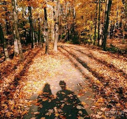 ۵۰ عکس پروفایل پاییز با مناظر زیبا و تماشایی ۵۰ عکس پروفایل پاییز با مناظر زیبا و تماشایی