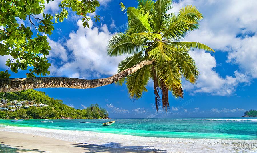 عکس خفن عکس پروفایل آبی فیروزه ای