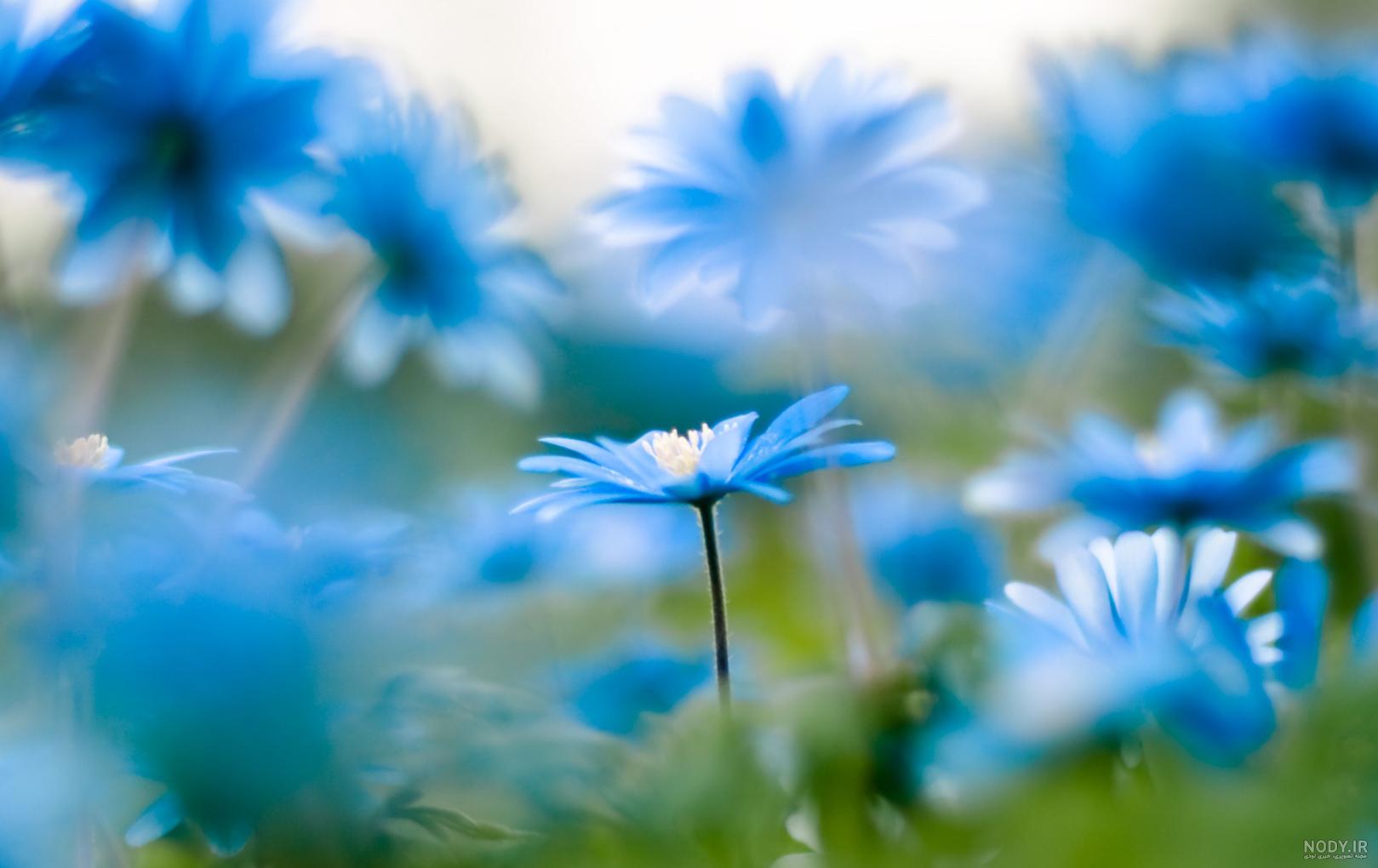 عکس خفن عکس پروفایل آبی فیروزه ای