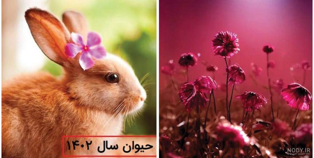 رنگ سال ۲۰۲۳ را با چه رنگ‌ لباس هایی استایل کنیم؟ – ژیوار اسکارف