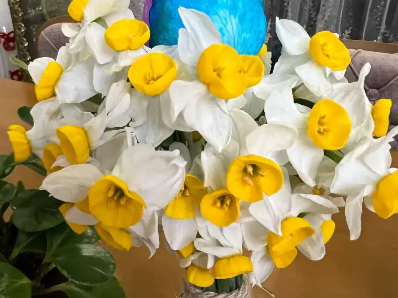 عکس پروفایل گل عاشقانه زیبا از شاخه رز تا نرگس 120 تصویر با کیفیت!