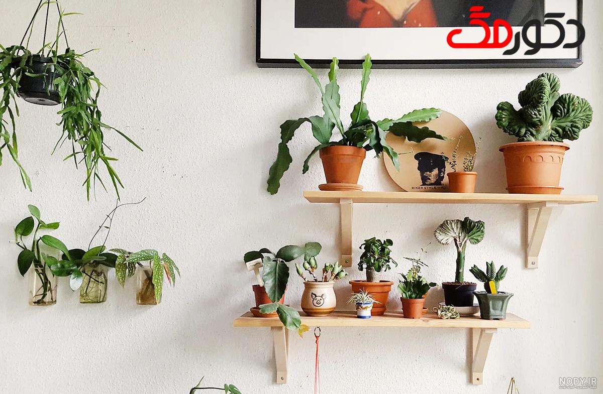 عکس گلدان گل های زیبا