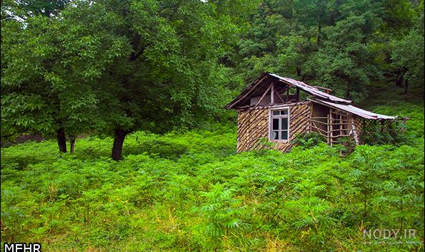 عکسهای زیبای طبیعت شمال ایران - عکس نودی عکسهای زیبای طبیعت شمال ایران - عکس نودی
