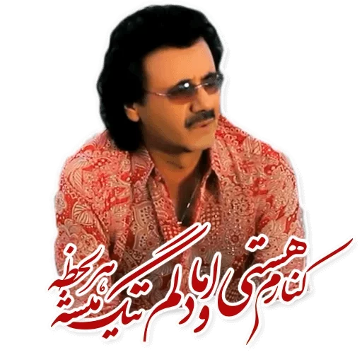 عکسهای همسر معین خواننده