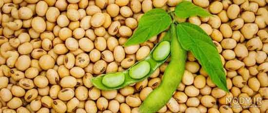فواید سویا آجیلی و مزیت‌ های مصرف آن - ستاره