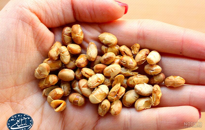 همه چیز درباره سویا آجیلی: غذای ورزشکاران حرفه ای | بارجیل همه چیز درباره سویا آجیلی: غذای ورزشکاران حرفه ای | بارجیل