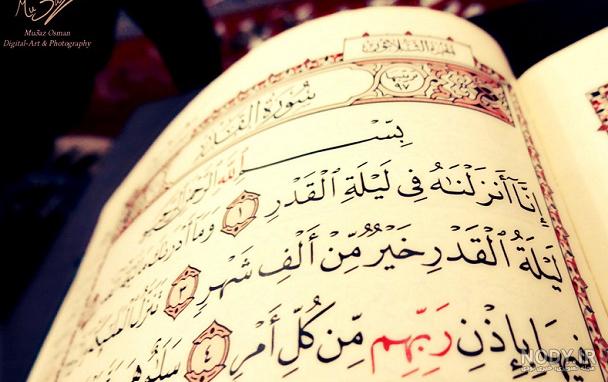 گالری تصاویر ویژه شب قدر - موسسه تحقیقات و نشر معارف اهل‌البیت علیهم‌السلام