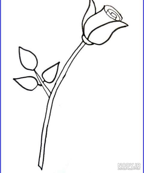 آموزش نقاشی گل رز – عکس
