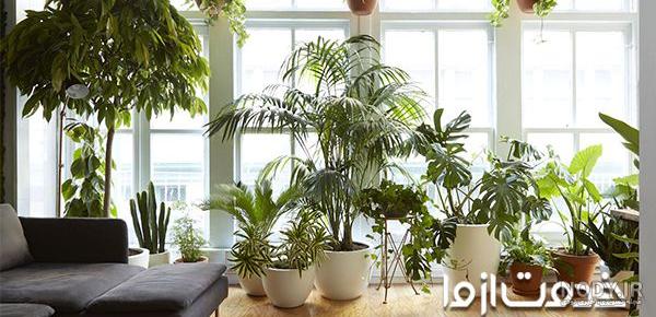 تزیین گل رز با ایده های ساده و زیبا برای هدیه دادن و مناسب دسته گل - مگسن
