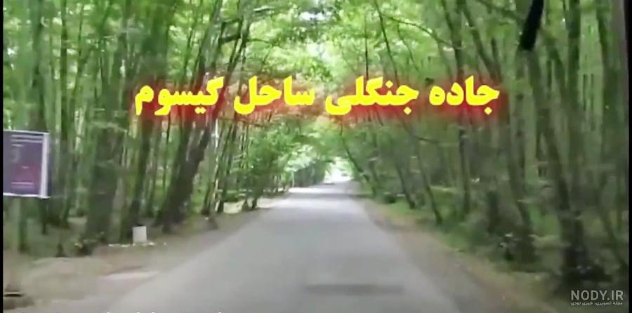 جاده جنگل ساحلی گیسوم – کاسپی لند، کارگزاری حقوقی و سرمایه گذاری املاک جاده جنگل ساحلی گیسوم – کاسپی لند، کارگزاری حقوقی و سرمایه گذاری املاک