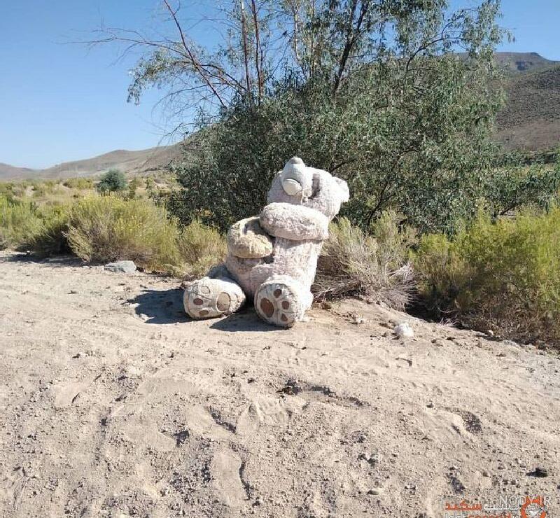 زندگی یک خانواده با خرس بزرگ زندگی یک خانواده با خرس بزرگ