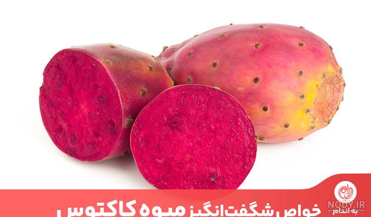 طرز تهیه مربای میوه کاکتوس (اپونتیا)🌵 ساده و خوشمزه توسط 👩‍🍳Hamideh -  کوکپد
