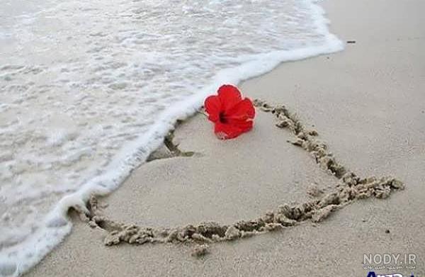عکس اکلیلی قلب عاشقانه دونفره با بهترین کیفیت برای پس زمینه