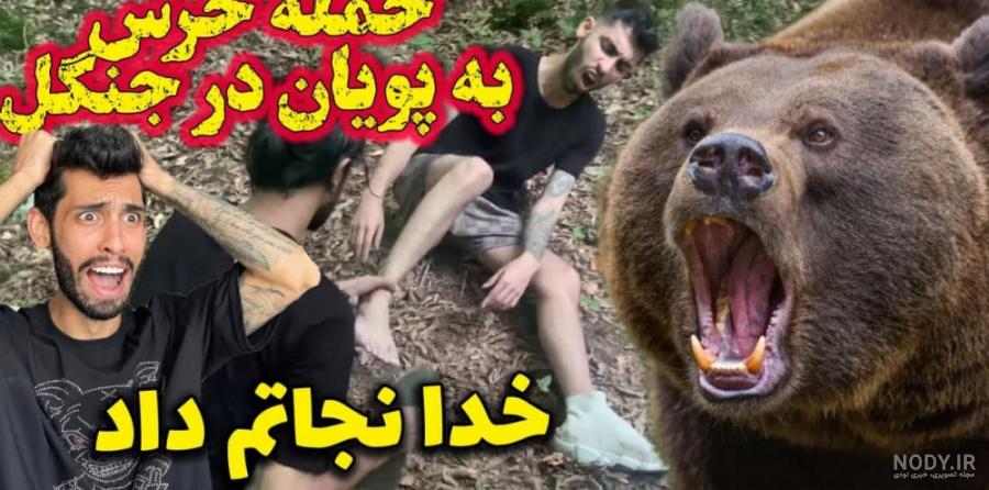 عکس خرس واقعی عکس خرس واقعی