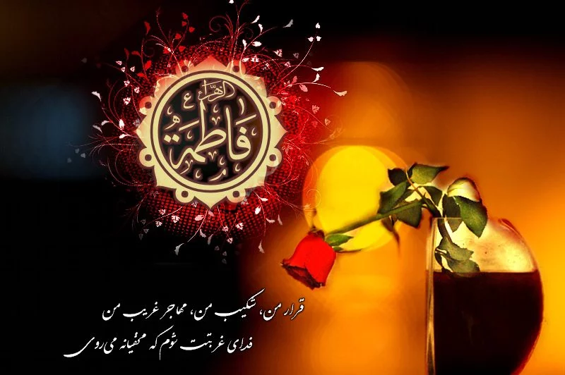 عکس شهادت حضرت معصومه سلام الله علیها