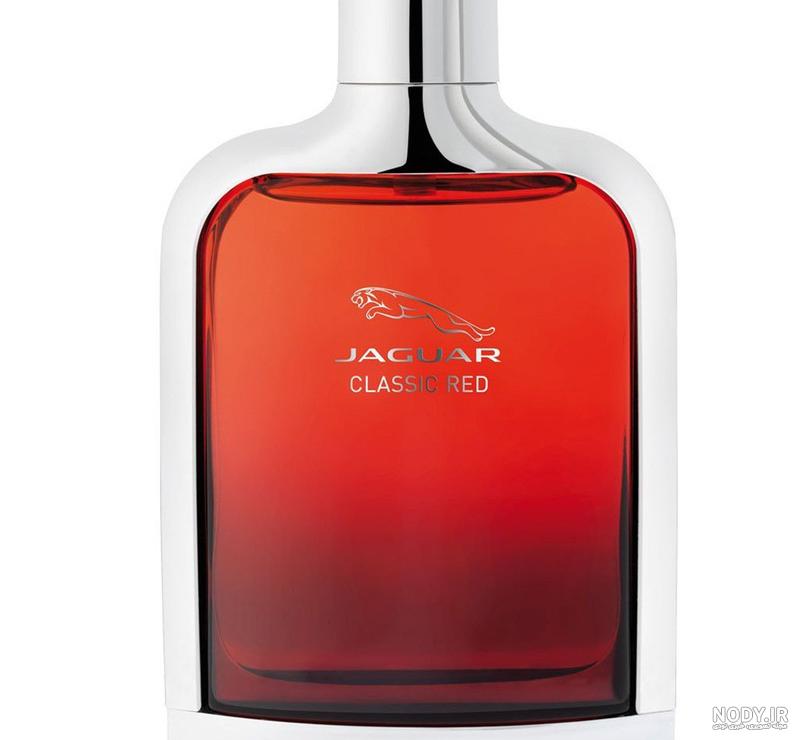 قیمت و خرید ادکلن جگوار مشکی ( جگوار کلاسیک بلک) مردانه اصل Jaguar Classic Black | اسپلندور قیمت و خرید ادکلن جگوار مشکی ( جگوار کلاسیک بلک) مردانه اصل Jaguar Classic Black | اسپلندور