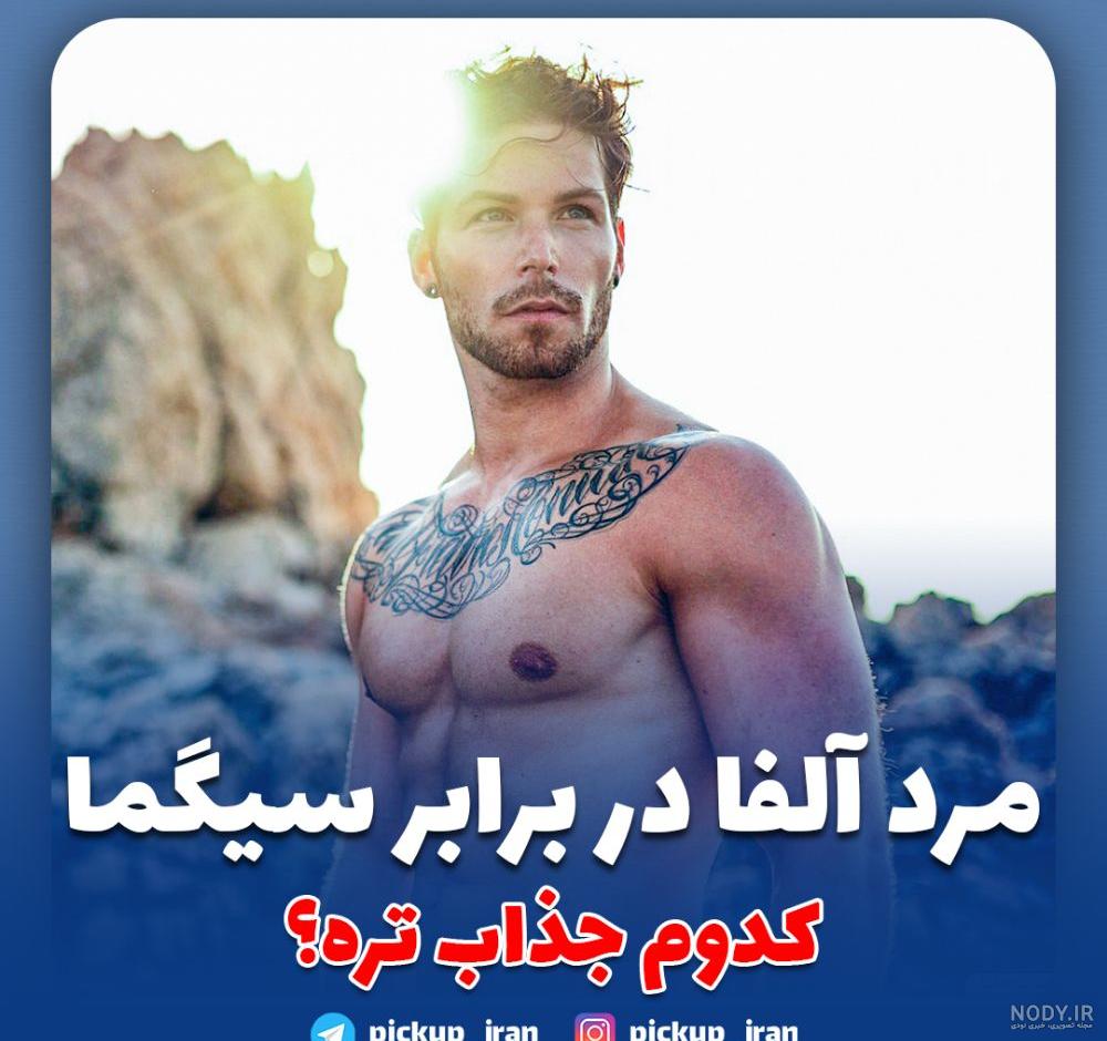 منظور از مرد آلفا و بتا چیست؟ بررسی علمی یک شایعه! - بیشتر از یک نفر