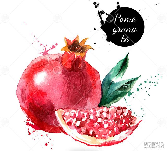 نقاشی ساده انار
