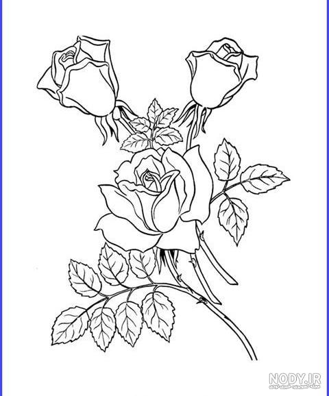 نقاشی کودکانه گل رز ️ [ بهترین تصاویر ]
