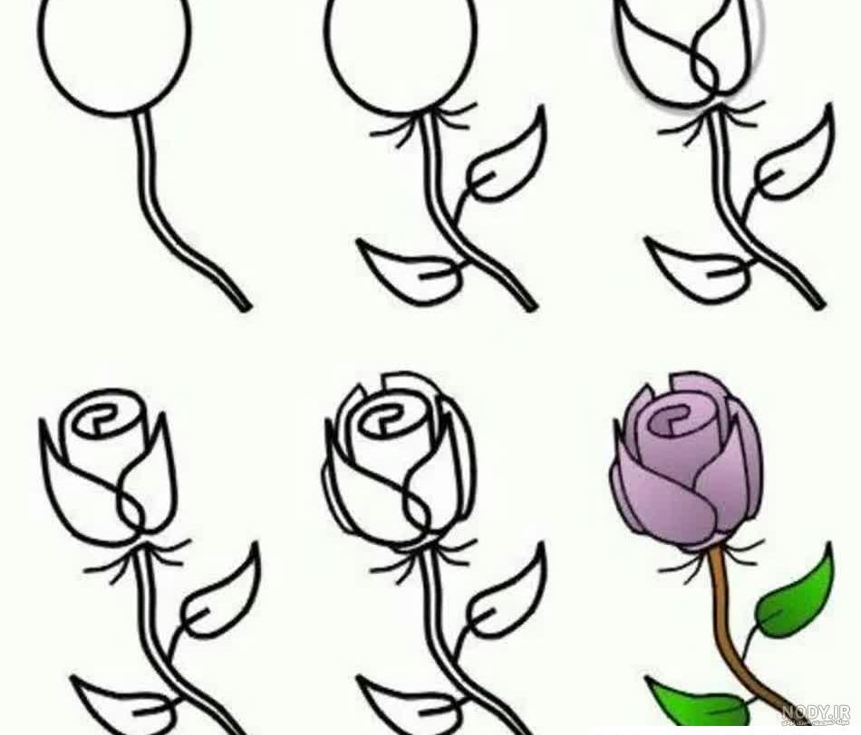 نقاشی گل رز ؛ عکس نقاشی گل رز آسان و سخت برای سنین مختلف - دلبرانه