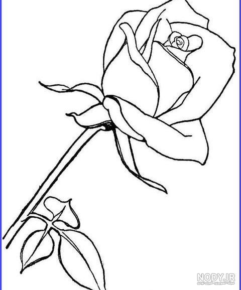 نقاشی گل رز ؛ عکس نقاشی گل رز آسان و سخت برای سنین مختلف - دلبرانه