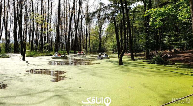 پارک جنگلی گیسوم ، تونلی جنگلی که به دریا می‌رسد - سفرزون