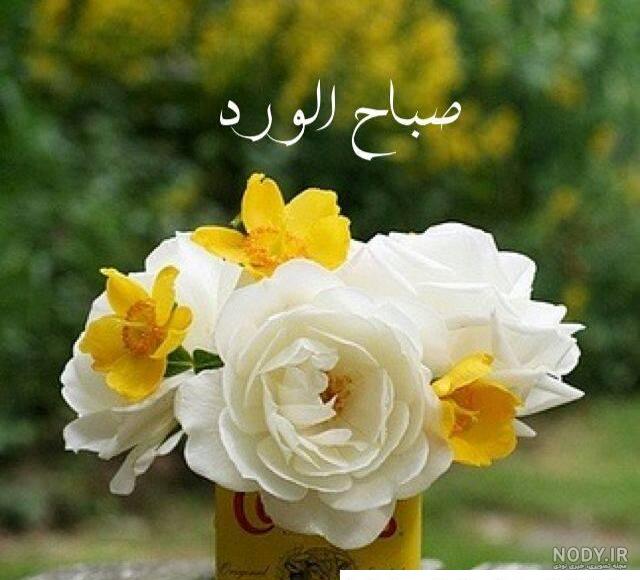 متن صبح بخیر عربی جدید