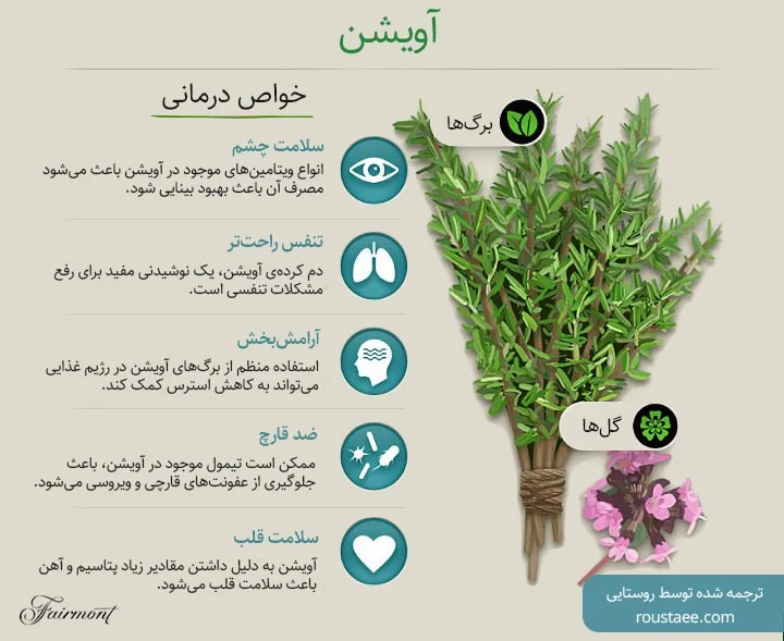 18 خواص آویشن به همراه بررسی عوارض مصرف بیش از اندازه آن - Tjoor